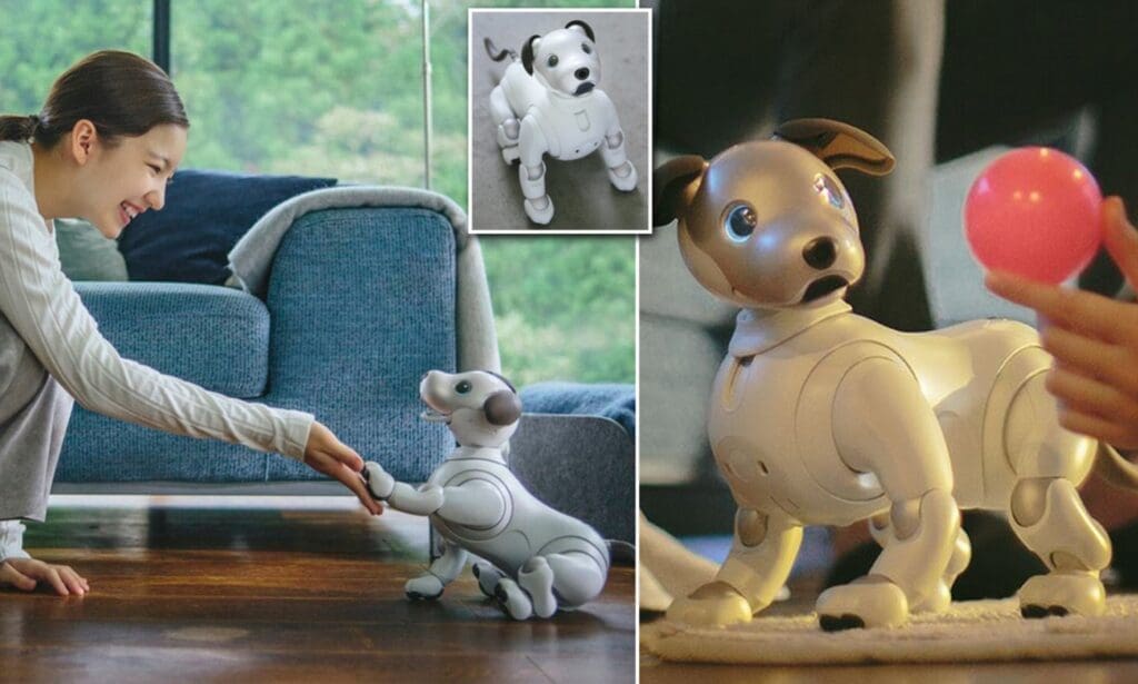 Sony's new robot dog, aibo Espresso, now available in the US